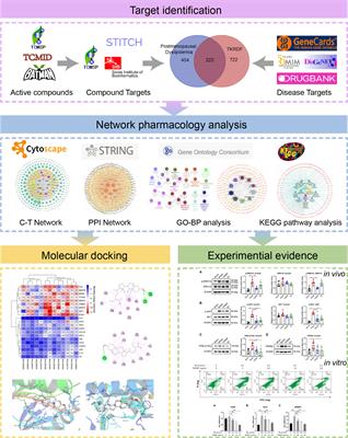 Study on the Potential Mechanism of Tonifying Kidney and Removing Dampness Formula in the Treatment of Postmenopausal Dyslipidemia Based on Network Pharmacology, Molecular Docking and Experimental Evidence